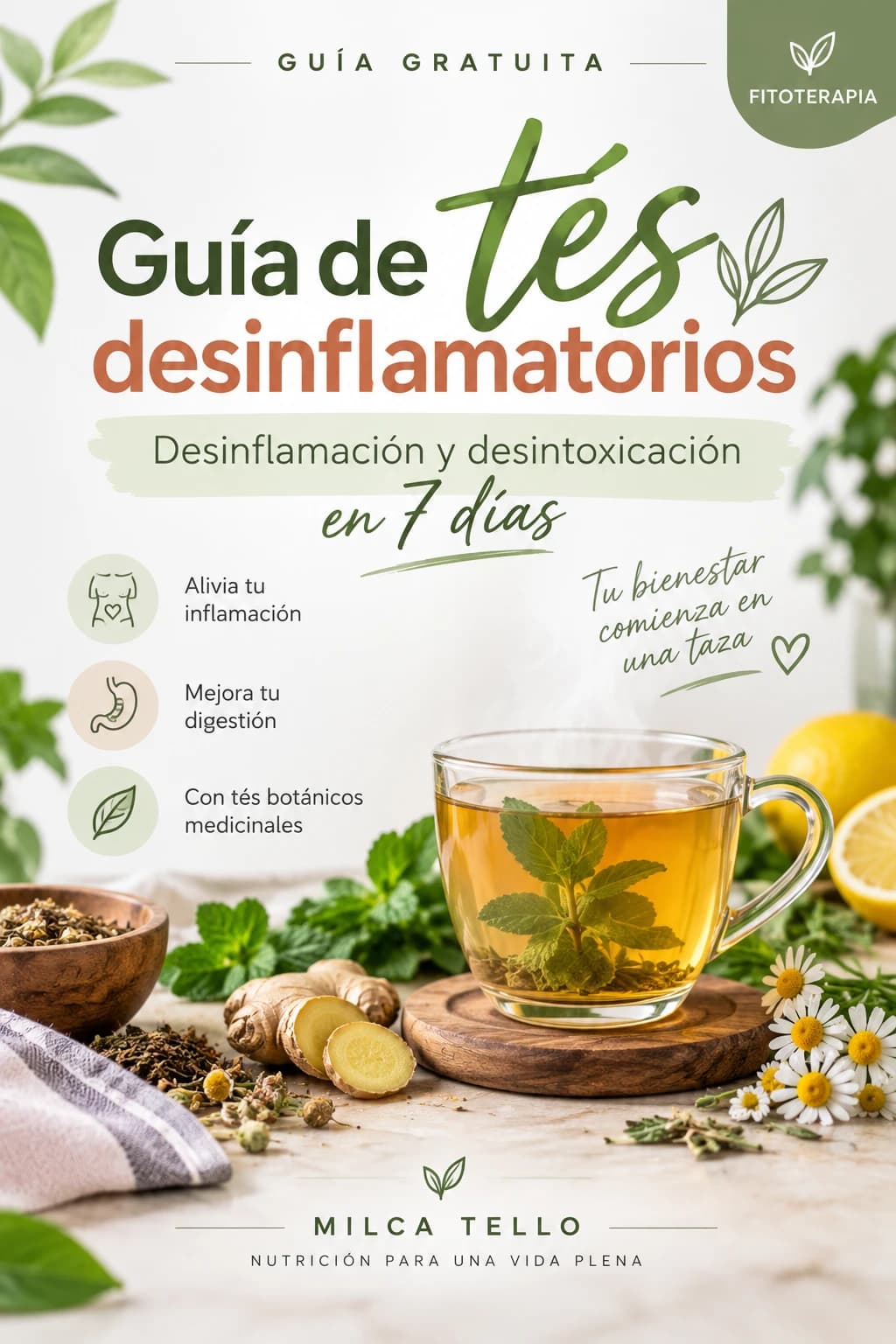 Guía de tés desinflamatorios